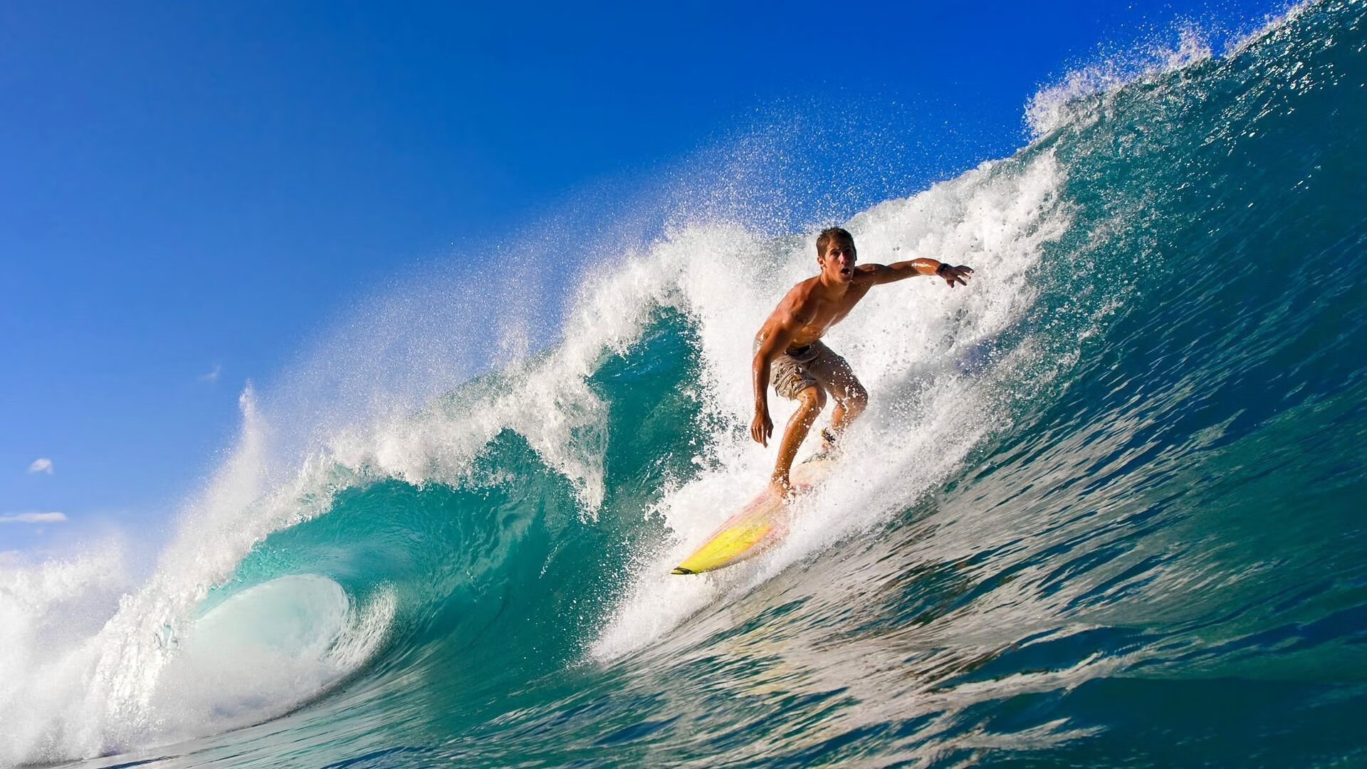 拼尽全力只为那一声国歌，拼尽全力歌曲